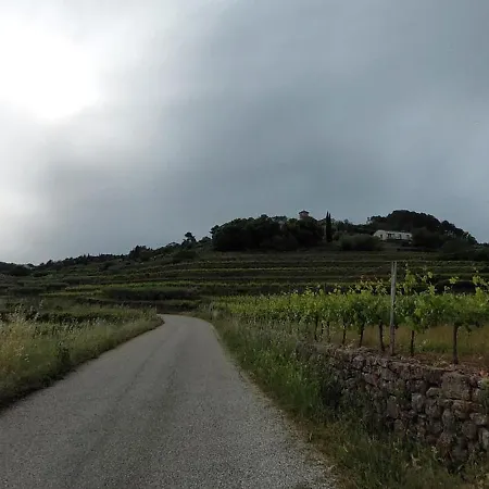 De Laulagne * Ribes